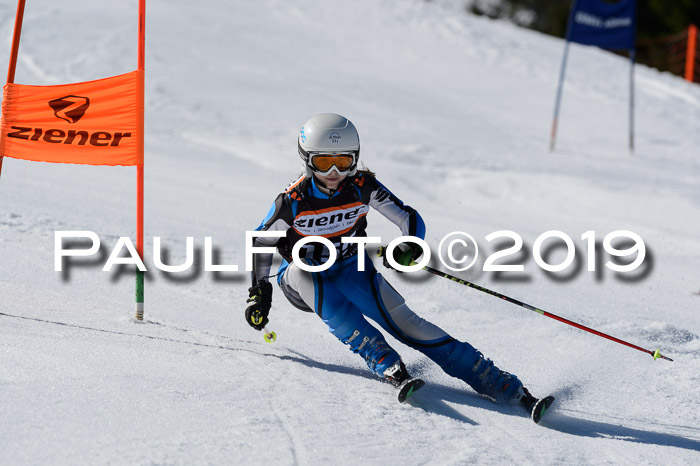 Ziener Cup WF,Finale, Quali + PSL, 30.03.2019