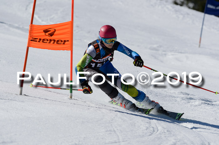 Ziener Cup WF,Finale, Quali + PSL, 30.03.2019