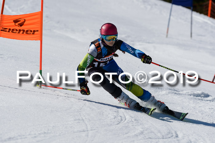 Ziener Cup WF,Finale, Quali + PSL, 30.03.2019