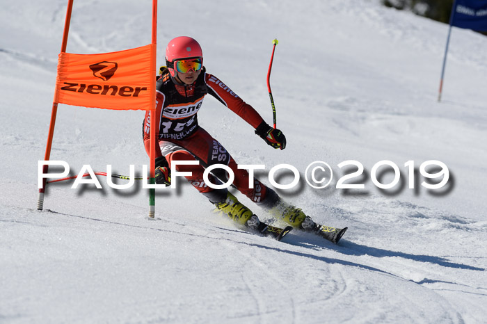 Ziener Cup WF,Finale, Quali + PSL, 30.03.2019