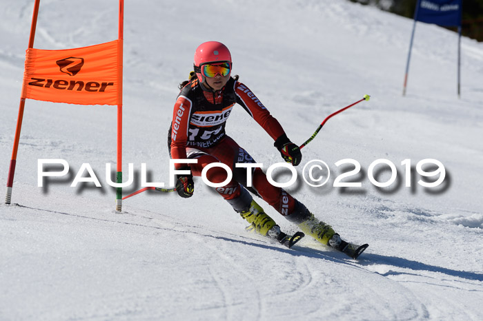 Ziener Cup WF,Finale, Quali + PSL, 30.03.2019