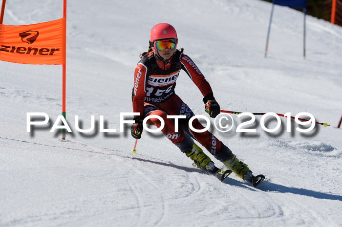 Ziener Cup WF,Finale, Quali + PSL, 30.03.2019