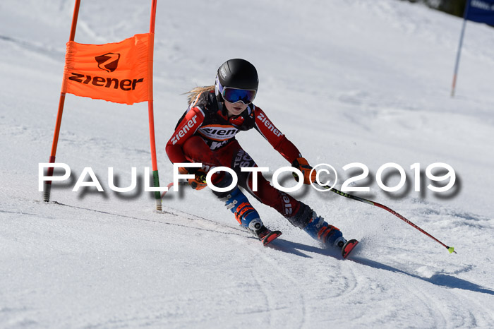 Ziener Cup WF,Finale, Quali + PSL, 30.03.2019
