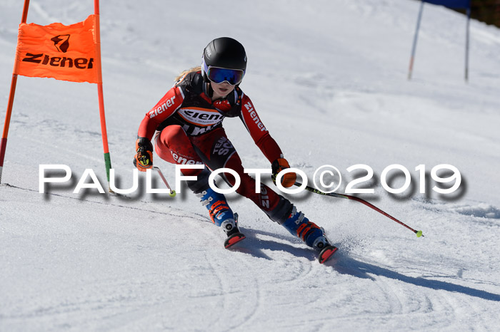 Ziener Cup WF,Finale, Quali + PSL, 30.03.2019