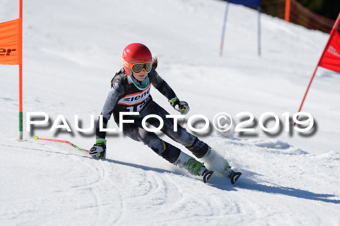 Ziener Cup WF,Finale, Quali + PSL, 30.03.2019