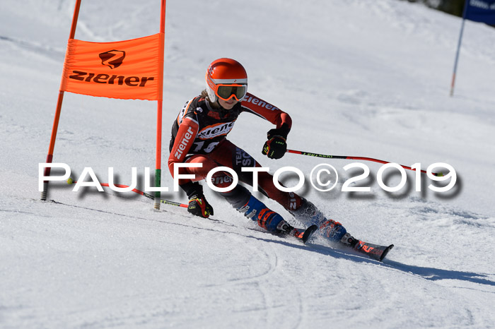 Ziener Cup WF,Finale, Quali + PSL, 30.03.2019