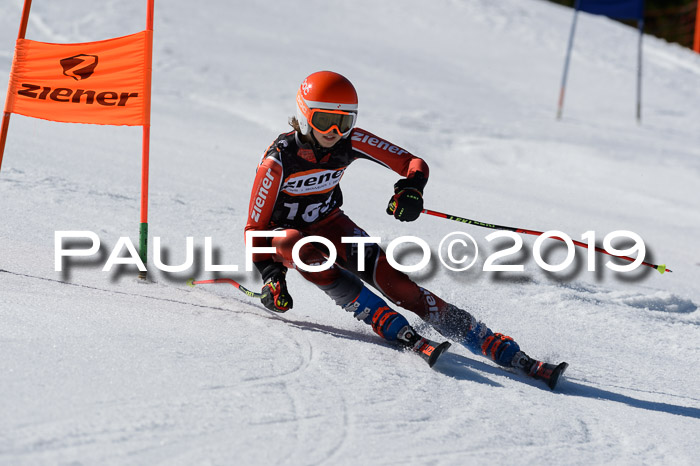 Ziener Cup WF,Finale, Quali + PSL, 30.03.2019