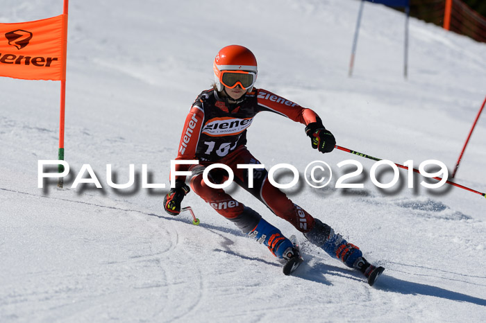 Ziener Cup WF,Finale, Quali + PSL, 30.03.2019