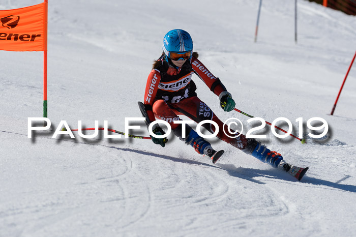 Ziener Cup WF,Finale, Quali + PSL, 30.03.2019