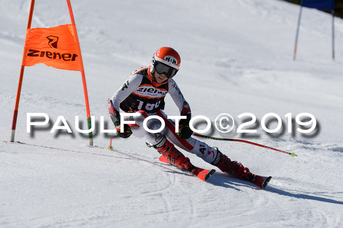 Ziener Cup WF,Finale, Quali + PSL, 30.03.2019
