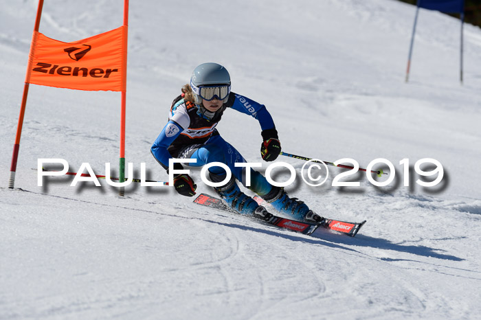 Ziener Cup WF,Finale, Quali + PSL, 30.03.2019