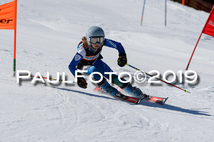 Ziener Cup WF,Finale, Quali + PSL, 30.03.2019