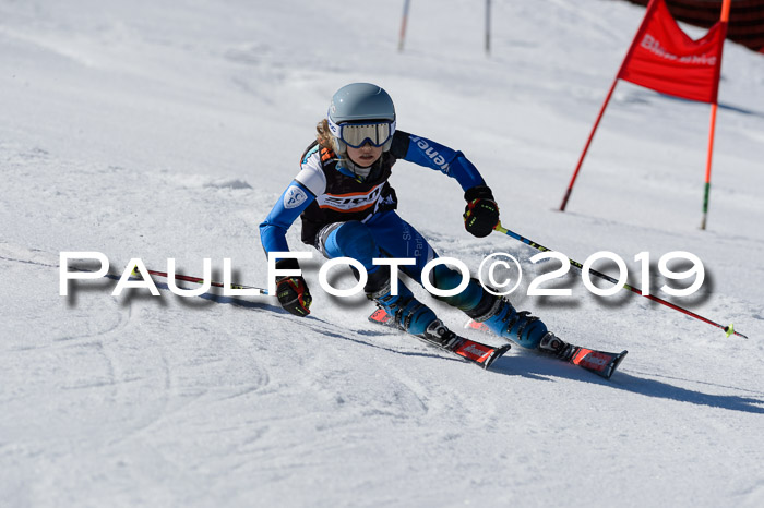 Ziener Cup WF,Finale, Quali + PSL, 30.03.2019