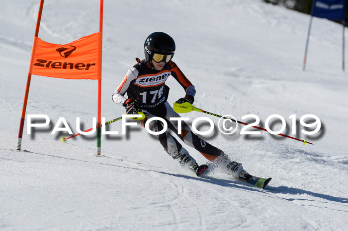 Ziener Cup WF,Finale, Quali + PSL, 30.03.2019