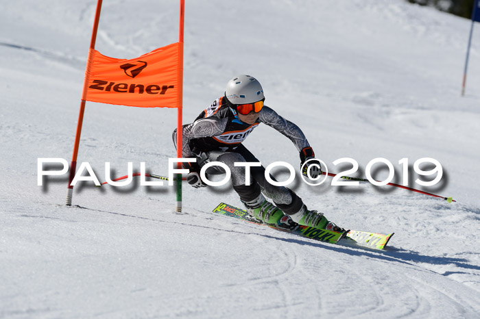 Ziener Cup WF,Finale, Quali + PSL, 30.03.2019