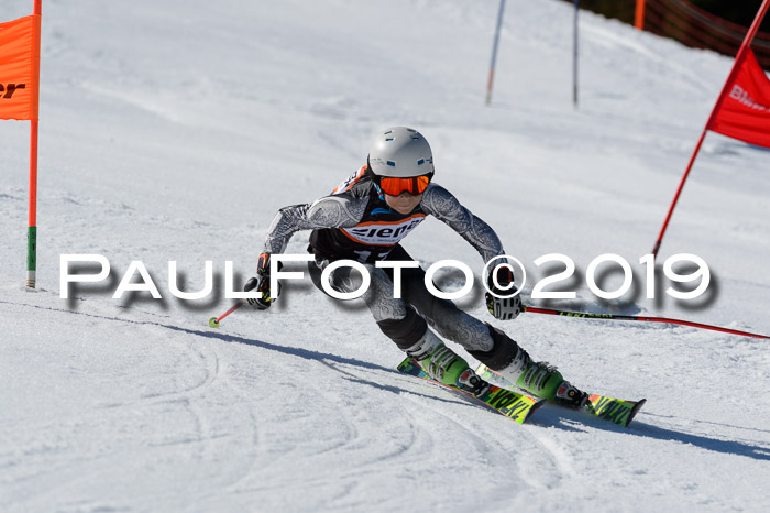 Ziener Cup WF,Finale, Quali + PSL, 30.03.2019