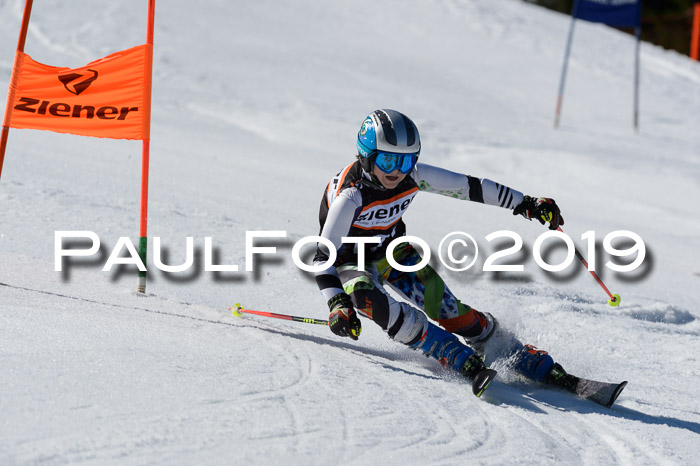 Ziener Cup WF,Finale, Quali + PSL, 30.03.2019