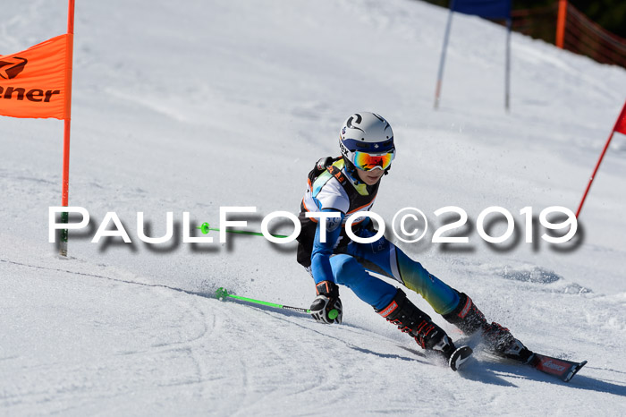 Ziener Cup WF,Finale, Quali + PSL, 30.03.2019