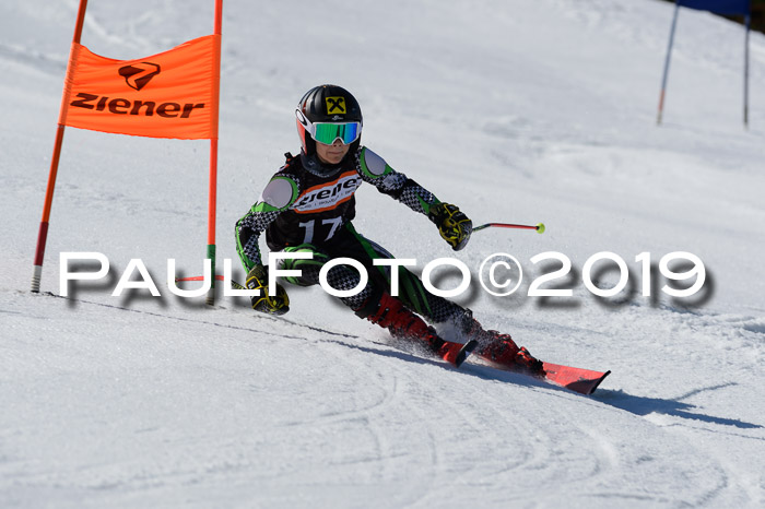 Ziener Cup WF,Finale, Quali + PSL, 30.03.2019