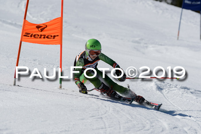 Ziener Cup WF,Finale, Quali + PSL, 30.03.2019