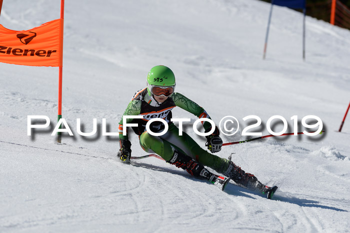 Ziener Cup WF,Finale, Quali + PSL, 30.03.2019