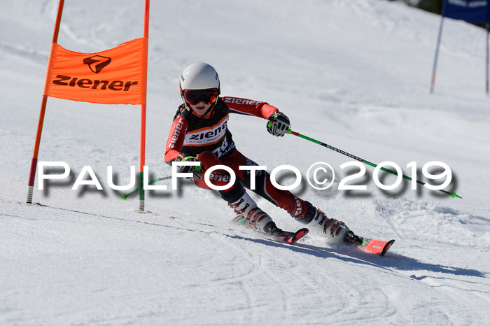 Ziener Cup WF,Finale, Quali + PSL, 30.03.2019