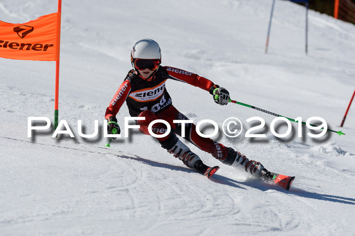 Ziener Cup WF,Finale, Quali + PSL, 30.03.2019