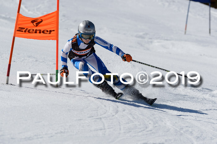 Ziener Cup WF,Finale, Quali + PSL, 30.03.2019