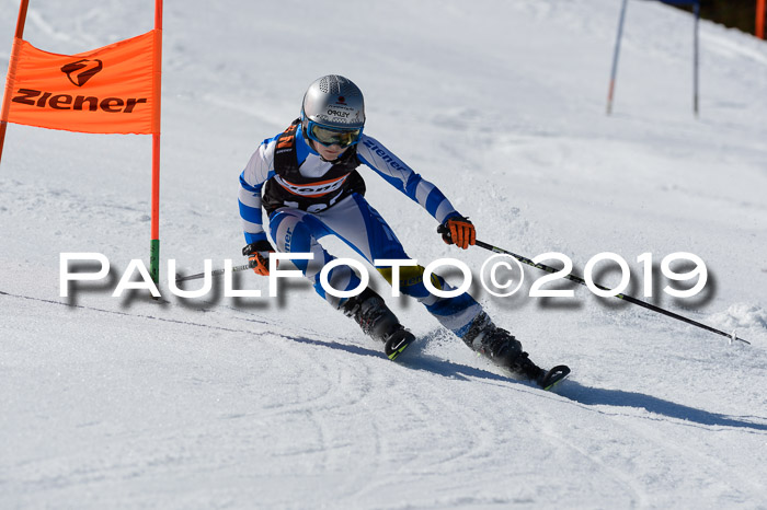 Ziener Cup WF,Finale, Quali + PSL, 30.03.2019