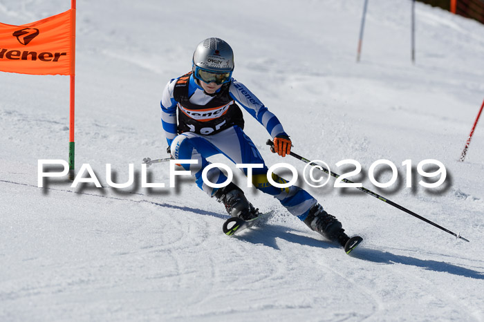 Ziener Cup WF,Finale, Quali + PSL, 30.03.2019