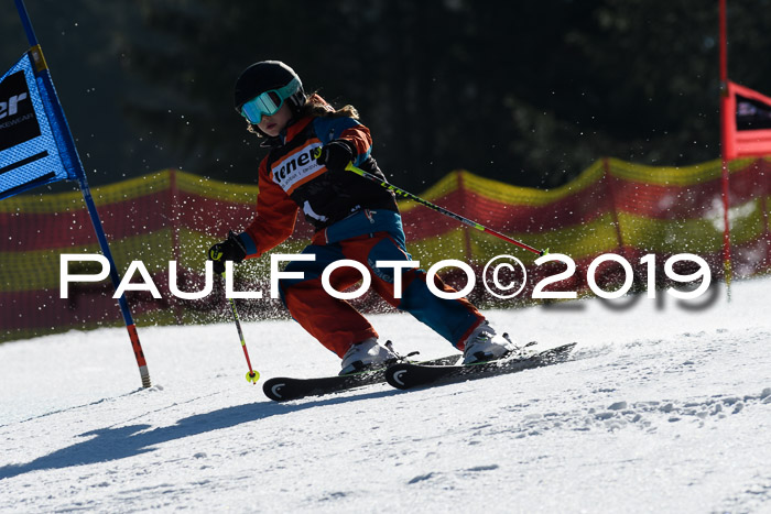 ASV - Kreiscup MM-UA 4 RS 2019
