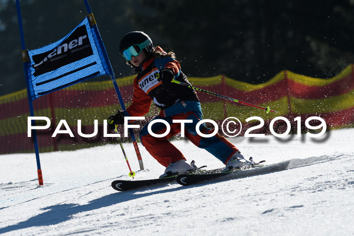 ASV - Kreiscup MM-UA 4 RS 2019