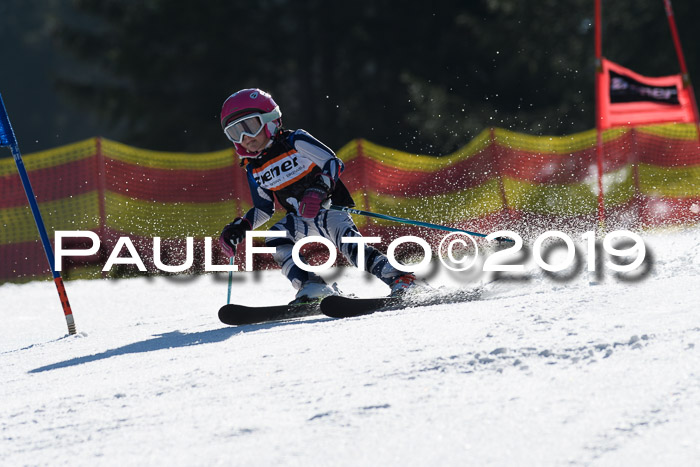 ASV - Kreiscup MM-UA 4 RS 2019