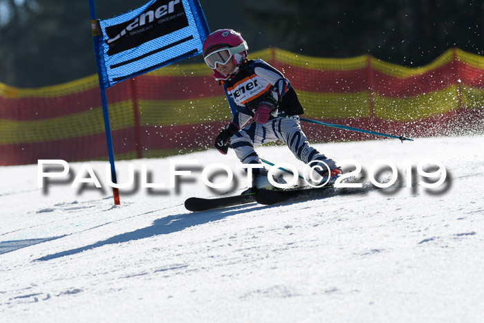 ASV - Kreiscup MM-UA 4 RS 2019