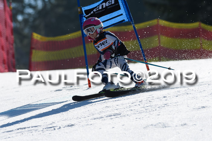 ASV - Kreiscup MM-UA 4 RS 2019