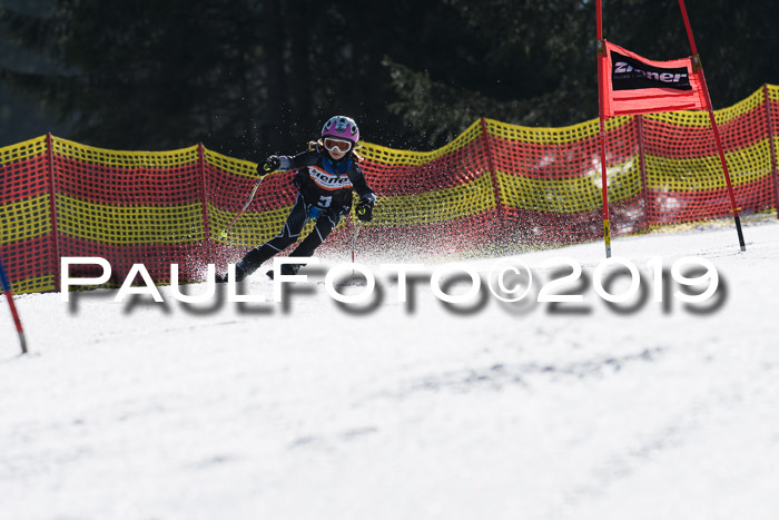 ASV - Kreiscup MM-UA 4 RS 2019