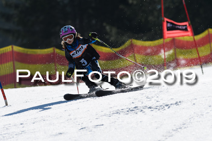 ASV - Kreiscup MM-UA 4 RS 2019