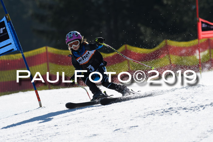 ASV - Kreiscup MM-UA 4 RS 2019