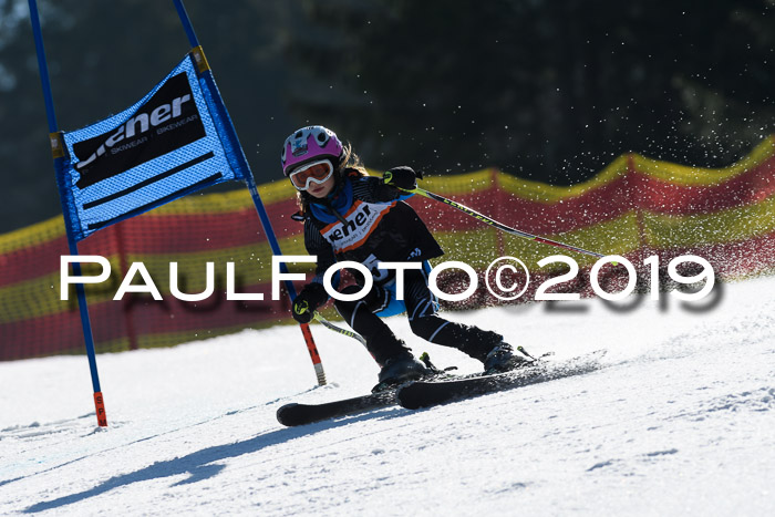 ASV - Kreiscup MM-UA 4 RS 2019