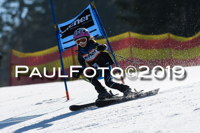 ASV - Kreiscup MM-UA 4 RS 2019