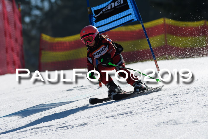ASV - Kreiscup MM-UA 4 RS 2019