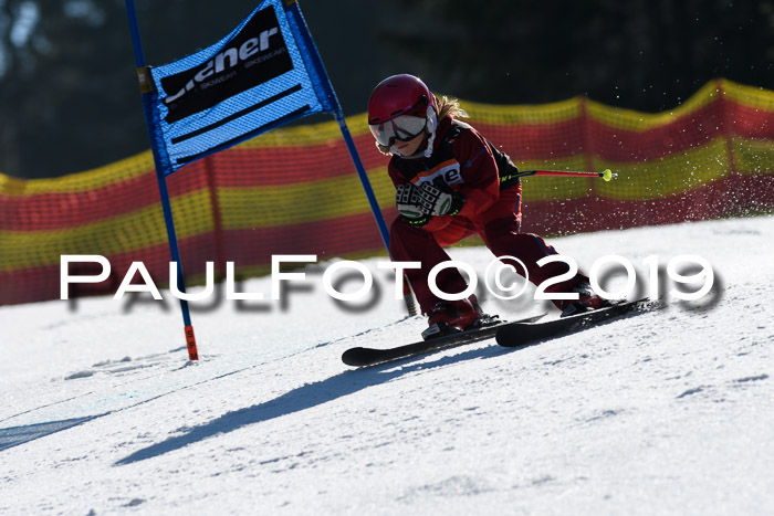 ASV - Kreiscup MM-UA 4 RS 2019