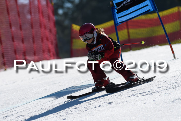 ASV - Kreiscup MM-UA 4 RS 2019