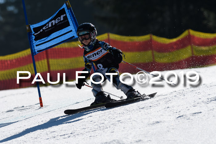 ASV - Kreiscup MM-UA 4 RS 2019