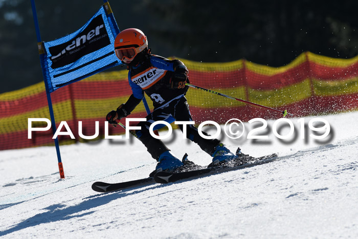 ASV - Kreiscup MM-UA 4 RS 2019