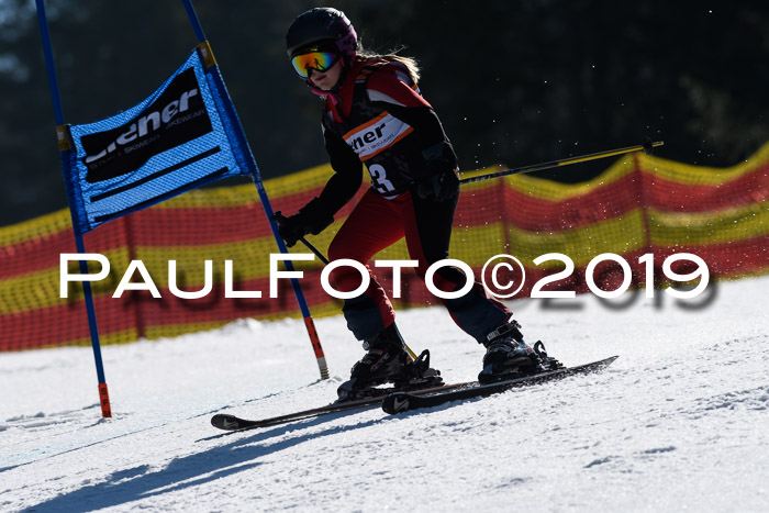 ASV - Kreiscup MM-UA 4 RS 2019