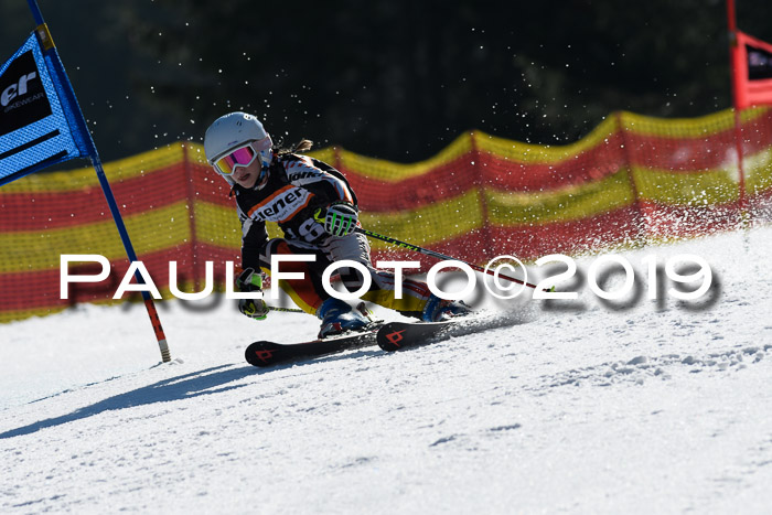 ASV - Kreiscup MM-UA 4 RS 2019