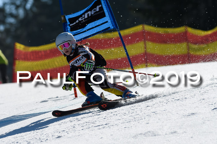 ASV - Kreiscup MM-UA 4 RS 2019
