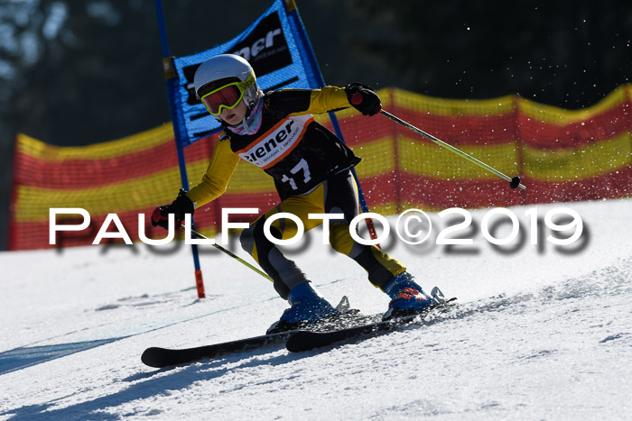 ASV - Kreiscup MM-UA 4 RS 2019