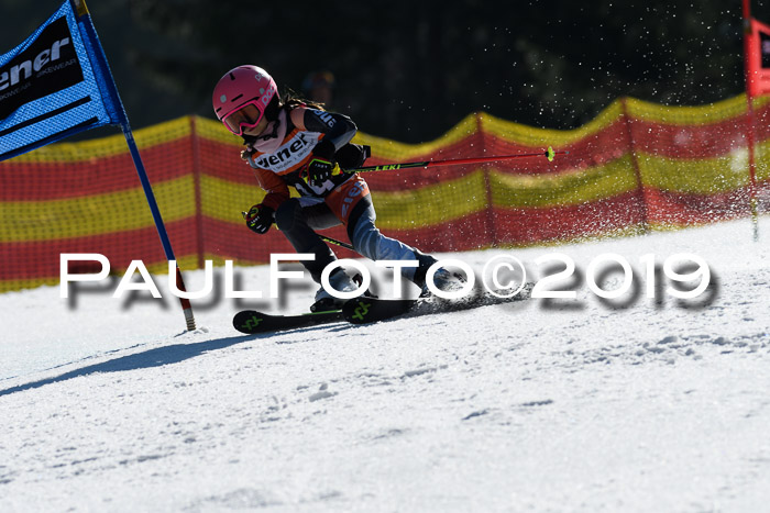 ASV - Kreiscup MM-UA 4 RS 2019